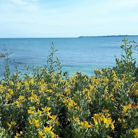 Pieds Dans L'Eau T2 Archi Cosy - Vue Mer 180 Ploemeur Zewnętrze zdjęcie